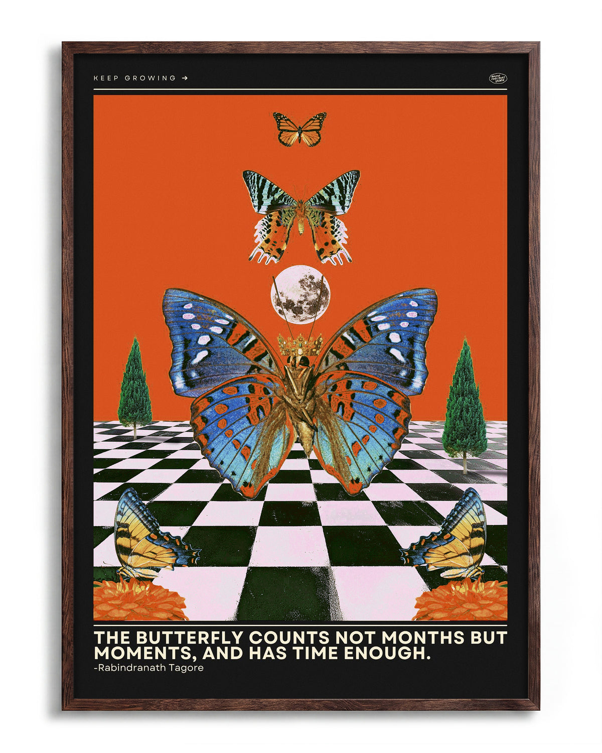 Butterfly psychedelic pop art collage print in a walnut frame