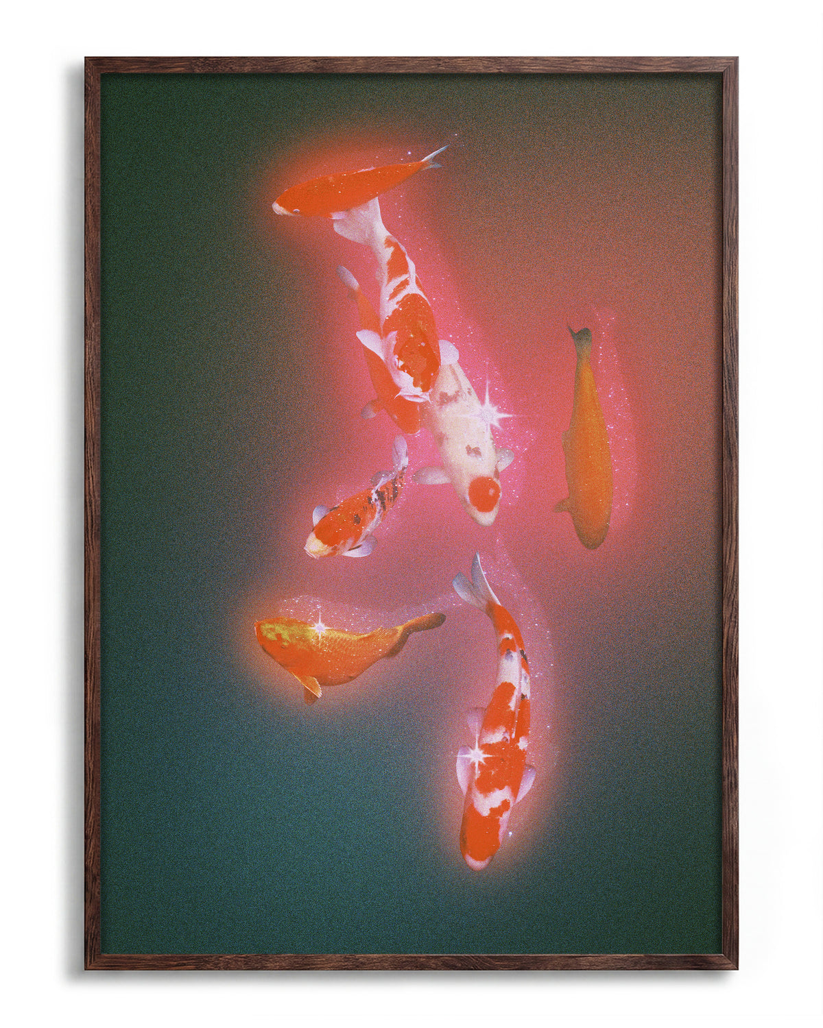Koi 2 - no background framed - walnut