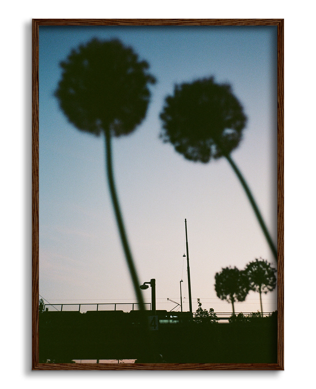 Blue hour