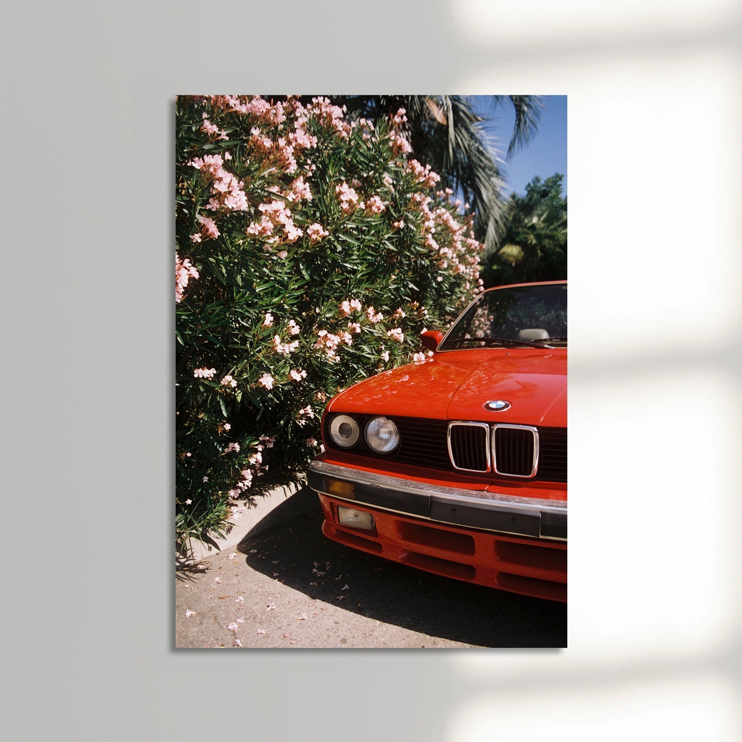 E30 Red