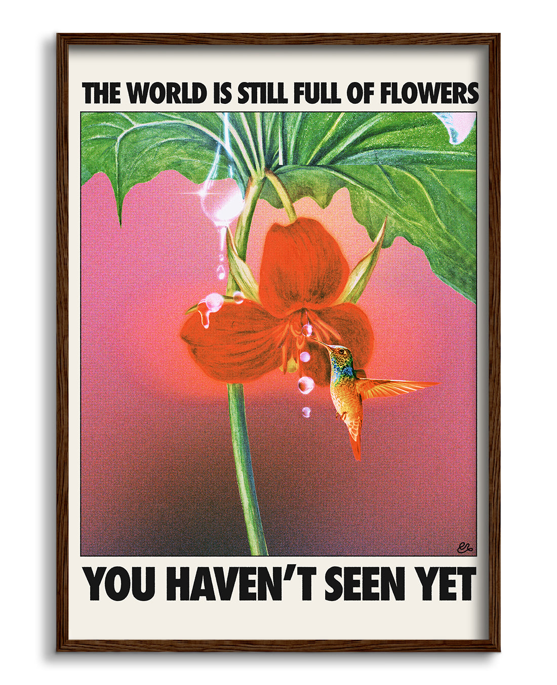 Flowers seen