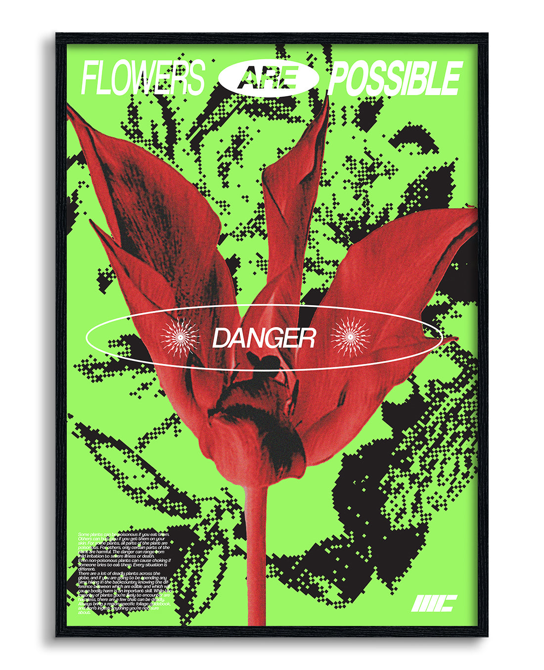 Flower Danger