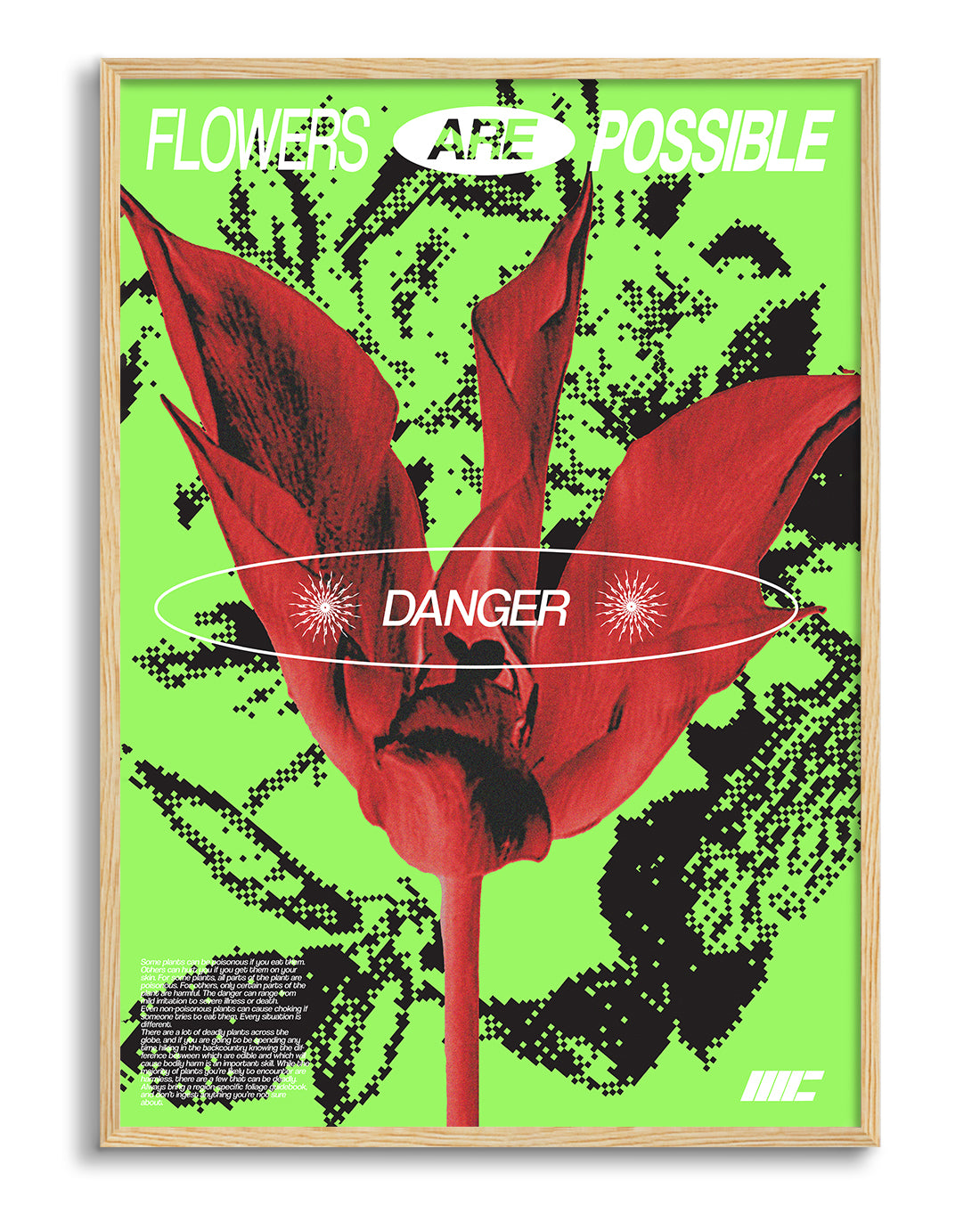 Flower Danger