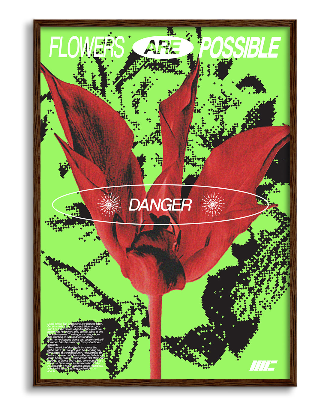 Flower Danger