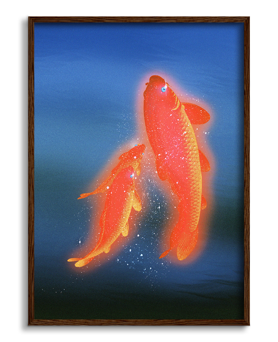 Koi 1