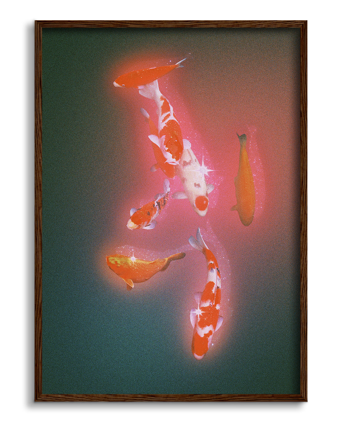 Koi 2