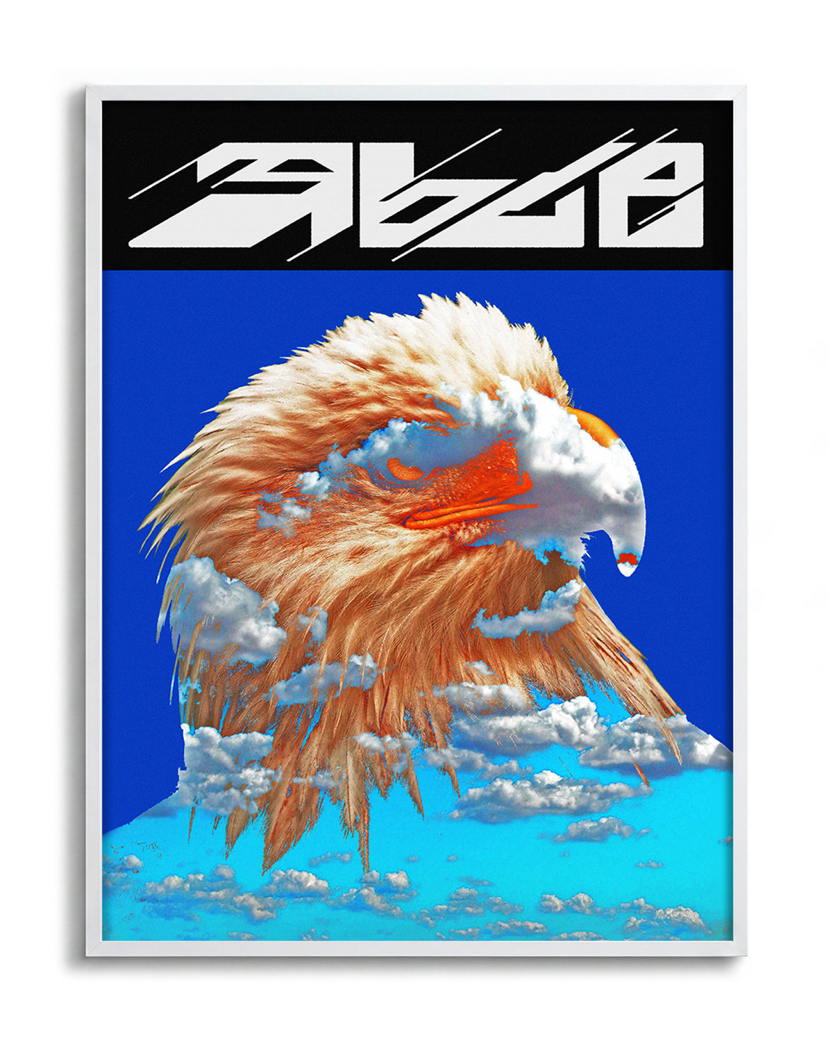 Eagle wildlife art print in a white frame