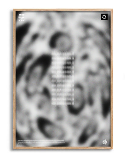 Brain - no background framed - oak