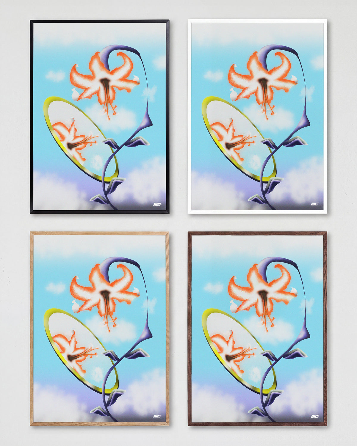 Blooming in the Mirror - all frames