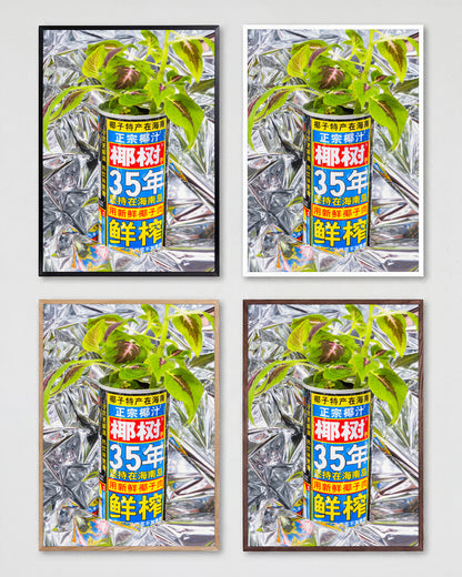Can - all frames