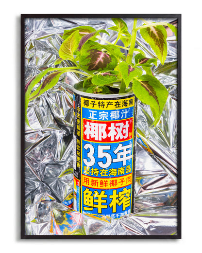 Can - no background framed - black