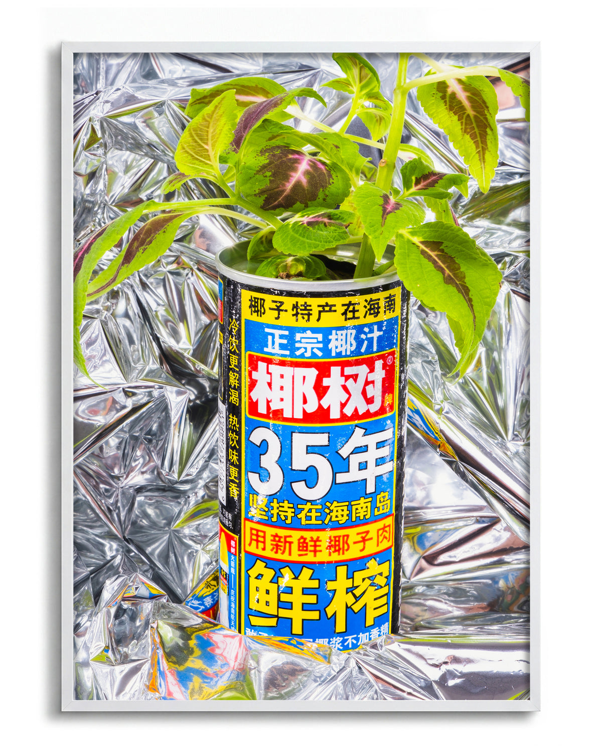 Can - no background framed - white