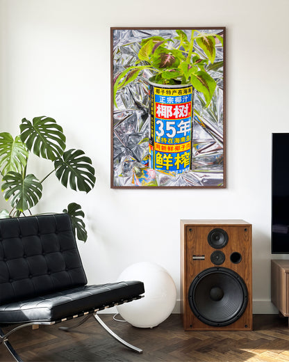 Can - room context walnut
