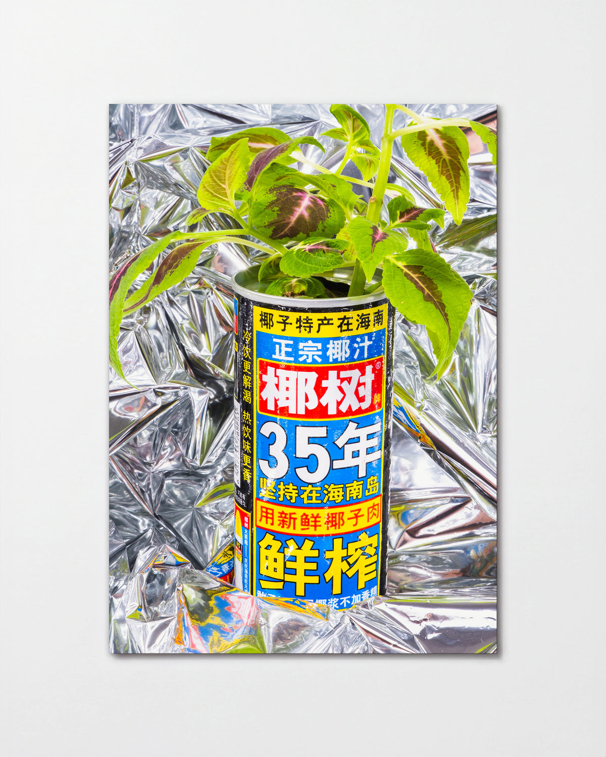 Can - unframed