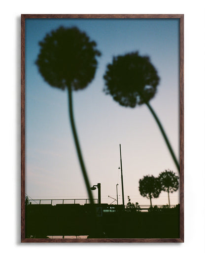 Blue hour minimalist landscape photography print in a walnut frame