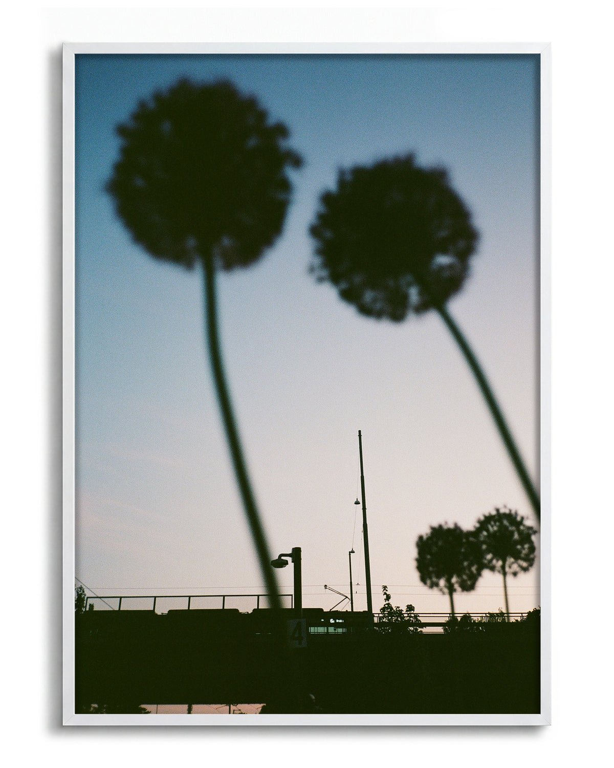 Blue hour minimalist landscape photography print in a white frame