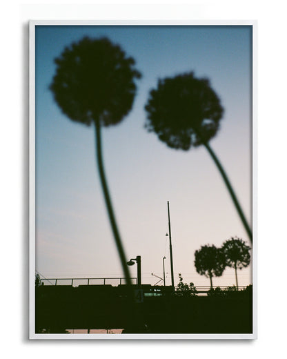 Blue hour minimalist landscape photography print in a white frame