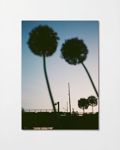 Blue hour minimalist landscape photography print, unframed