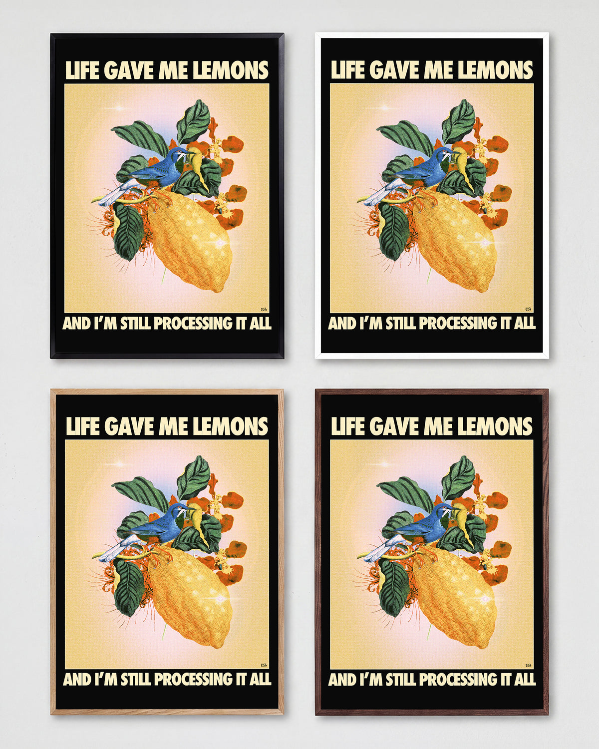Lemons - all frames
