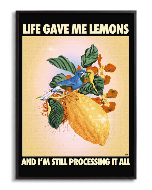 Lemons - no background framed - black