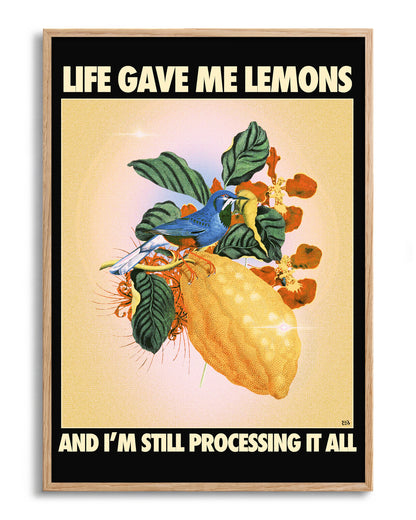 Lemons - no background framed - oak