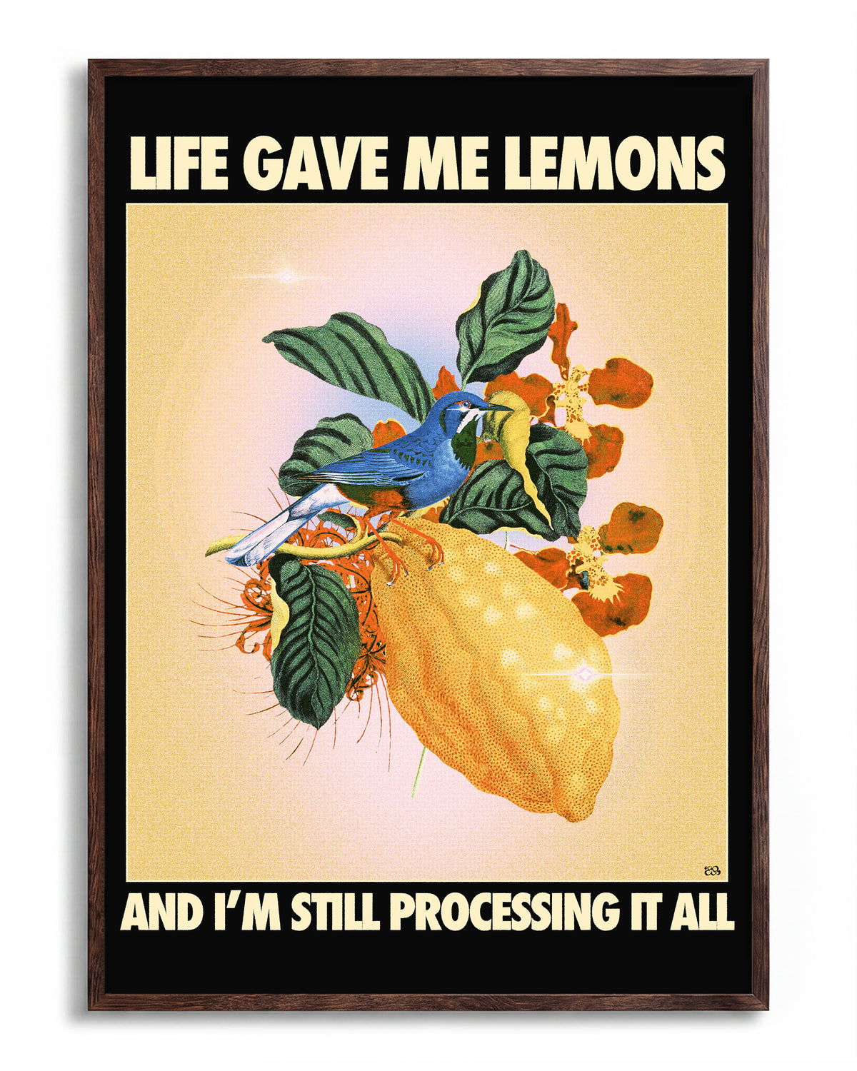 Lemons - no background framed - walnut