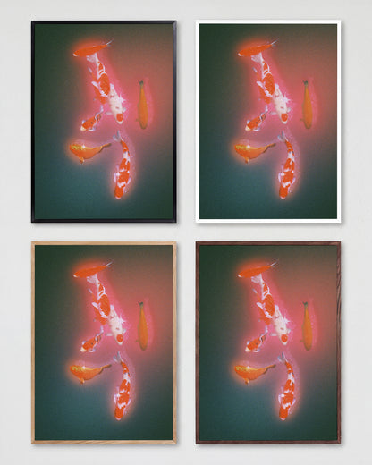 Koi 2 - all frames