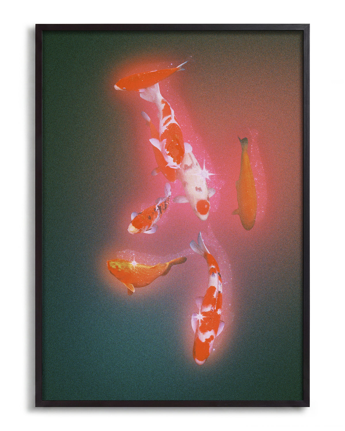 Koi 2 - no background framed - black