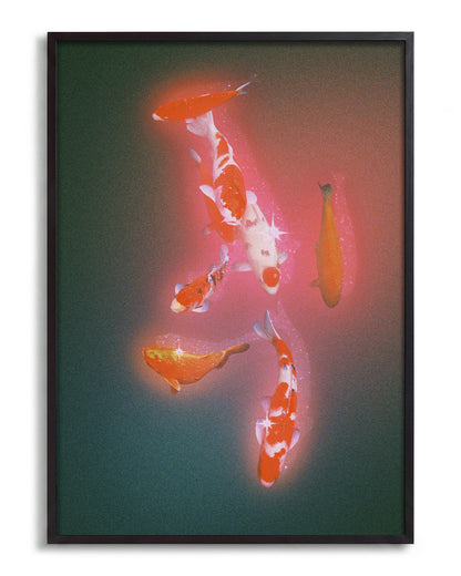 Koi 2 - no background framed - black