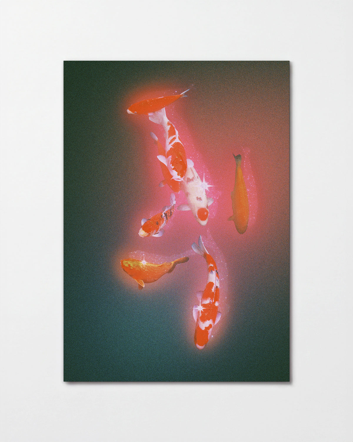 Koi 2 - unframed