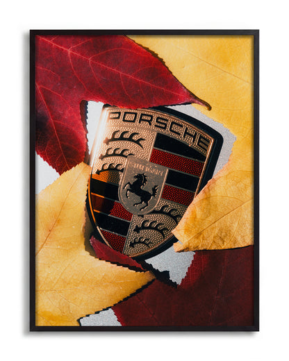 Autumn - no background framed - black