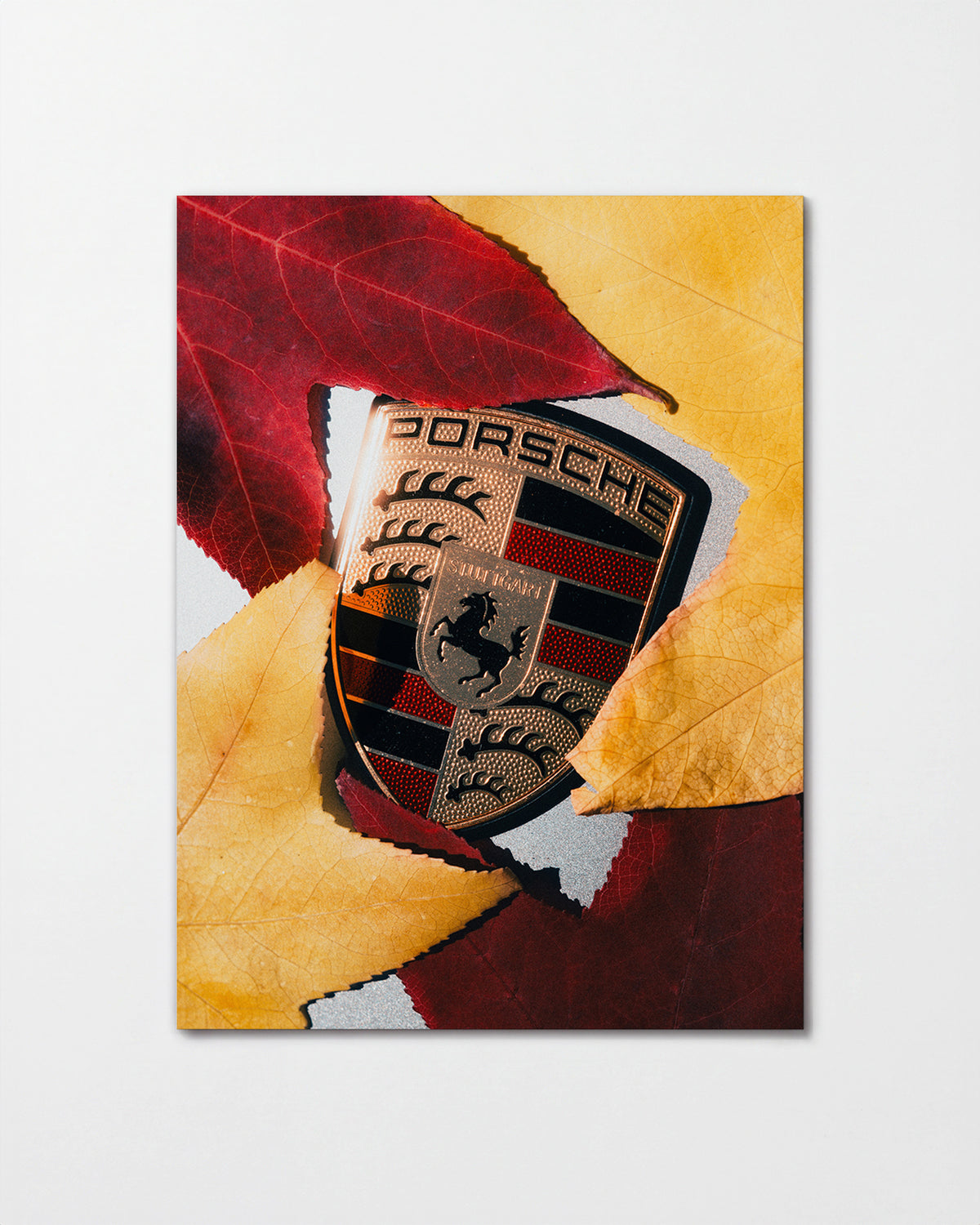 Autumn - unframed