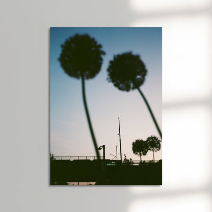 Blue hour