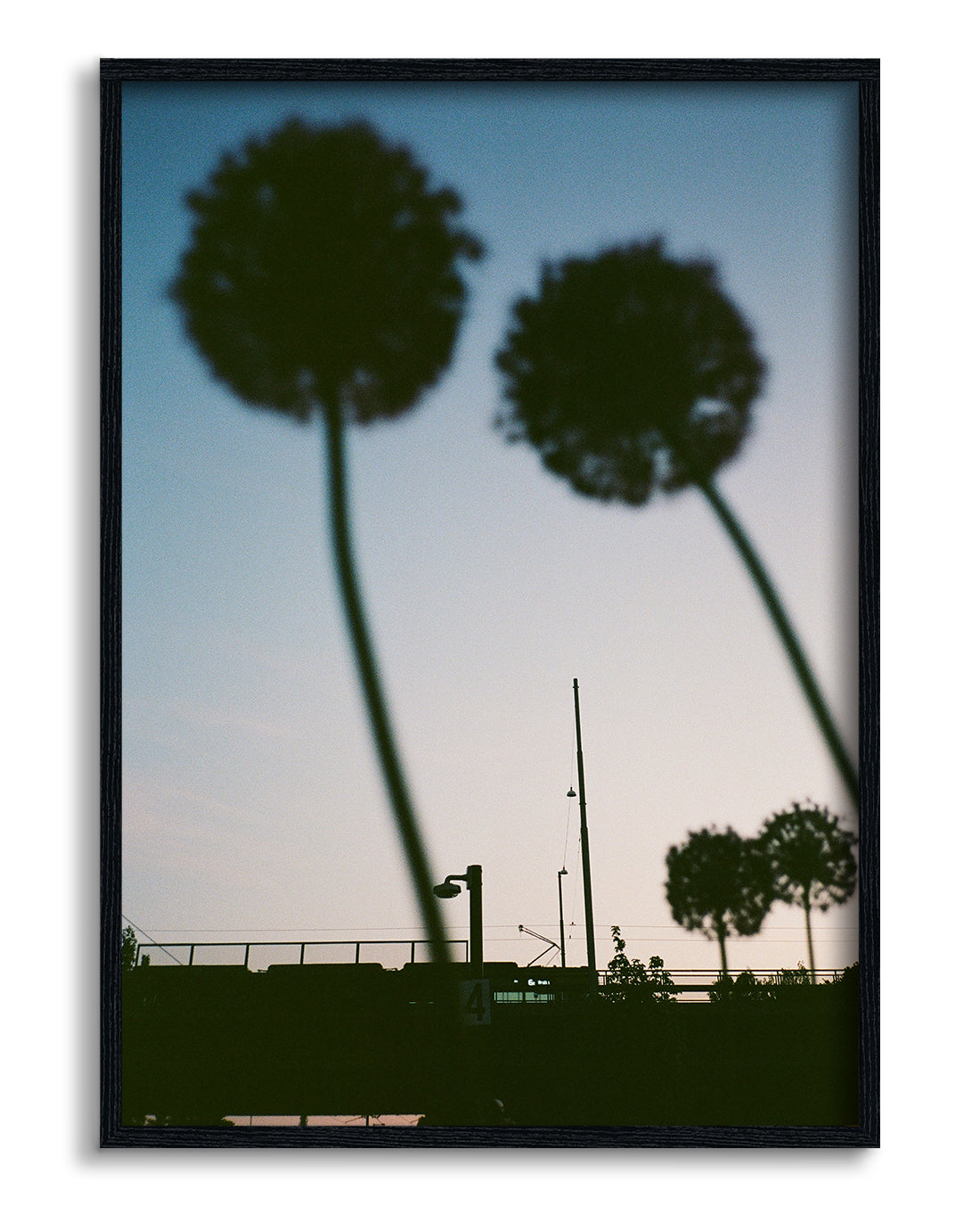 Blue hour