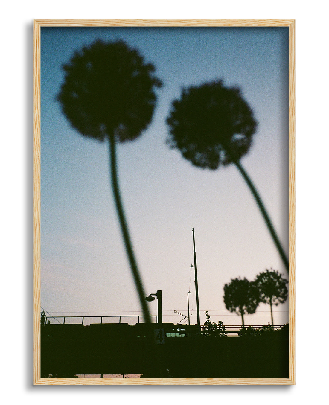 Blue hour