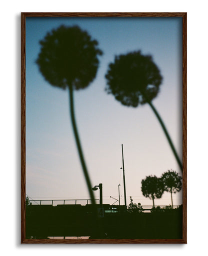 Blue hour