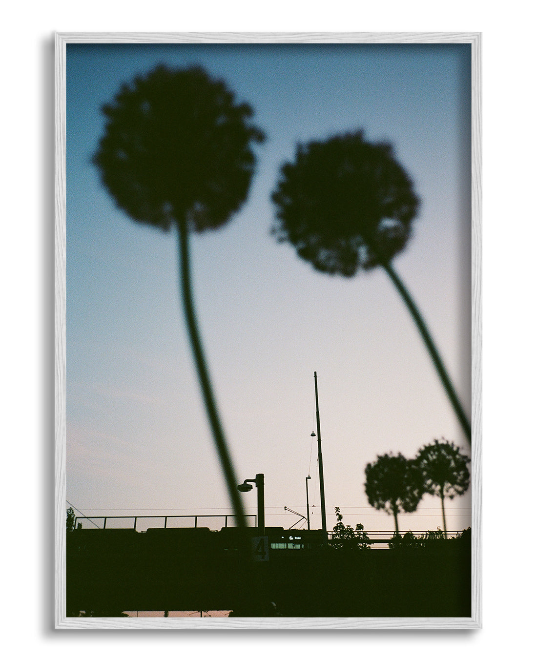 Blue hour