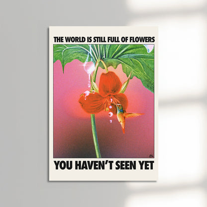 Flowers seen