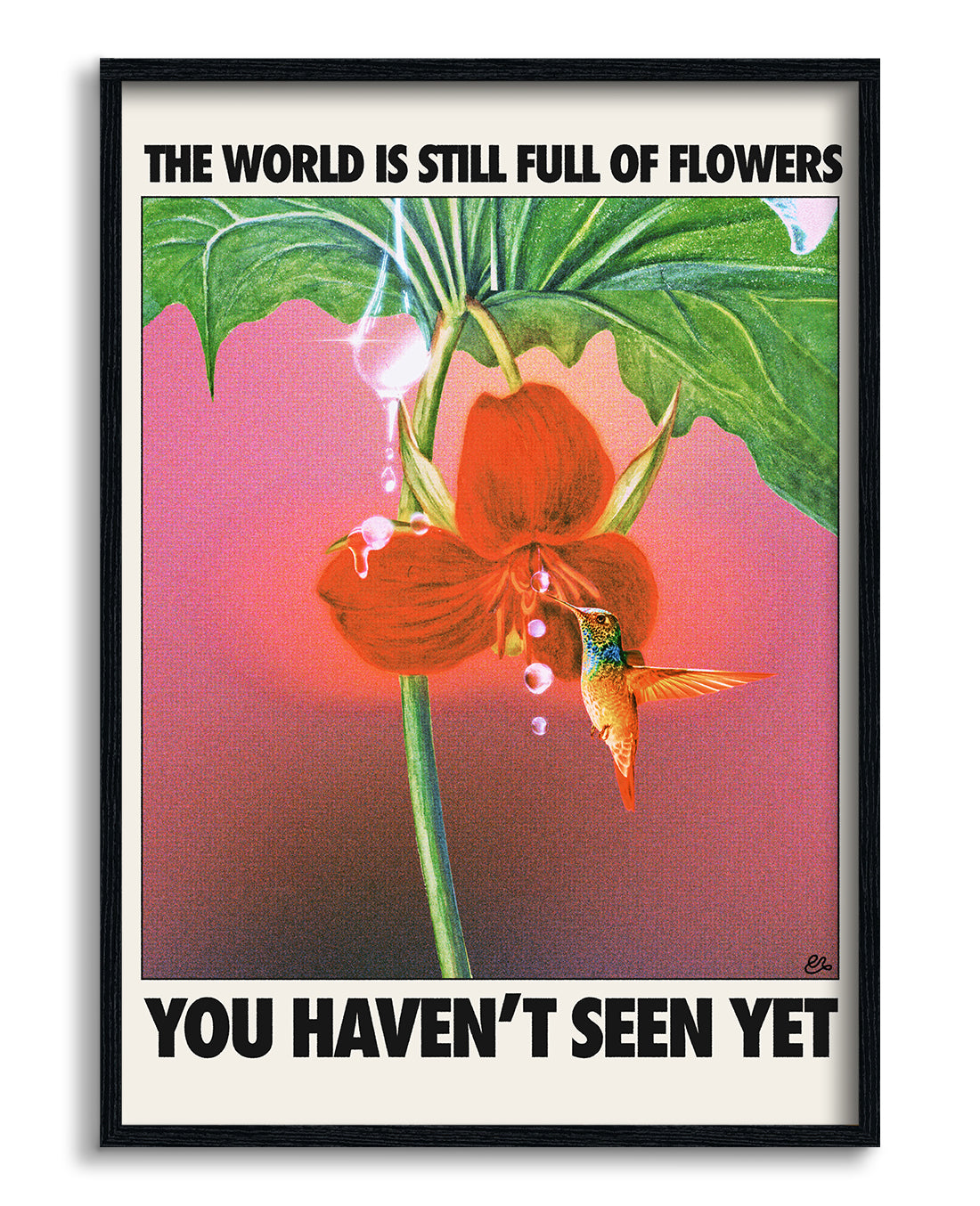 Flowers seen