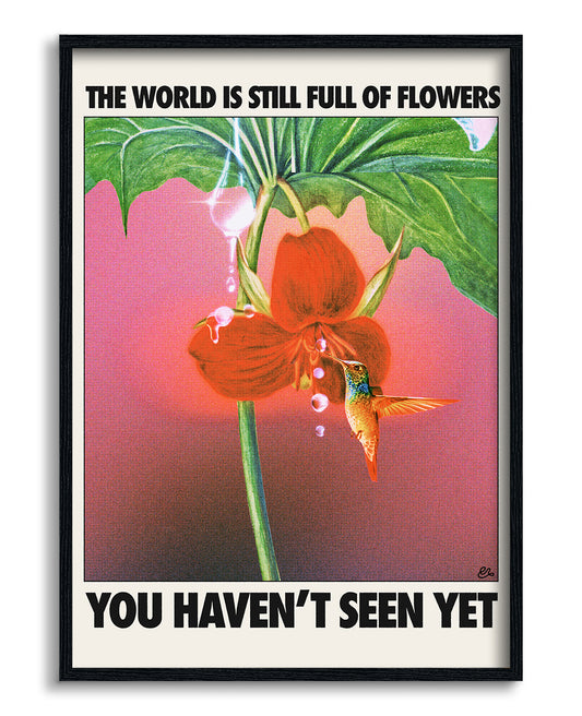 Flowers seen