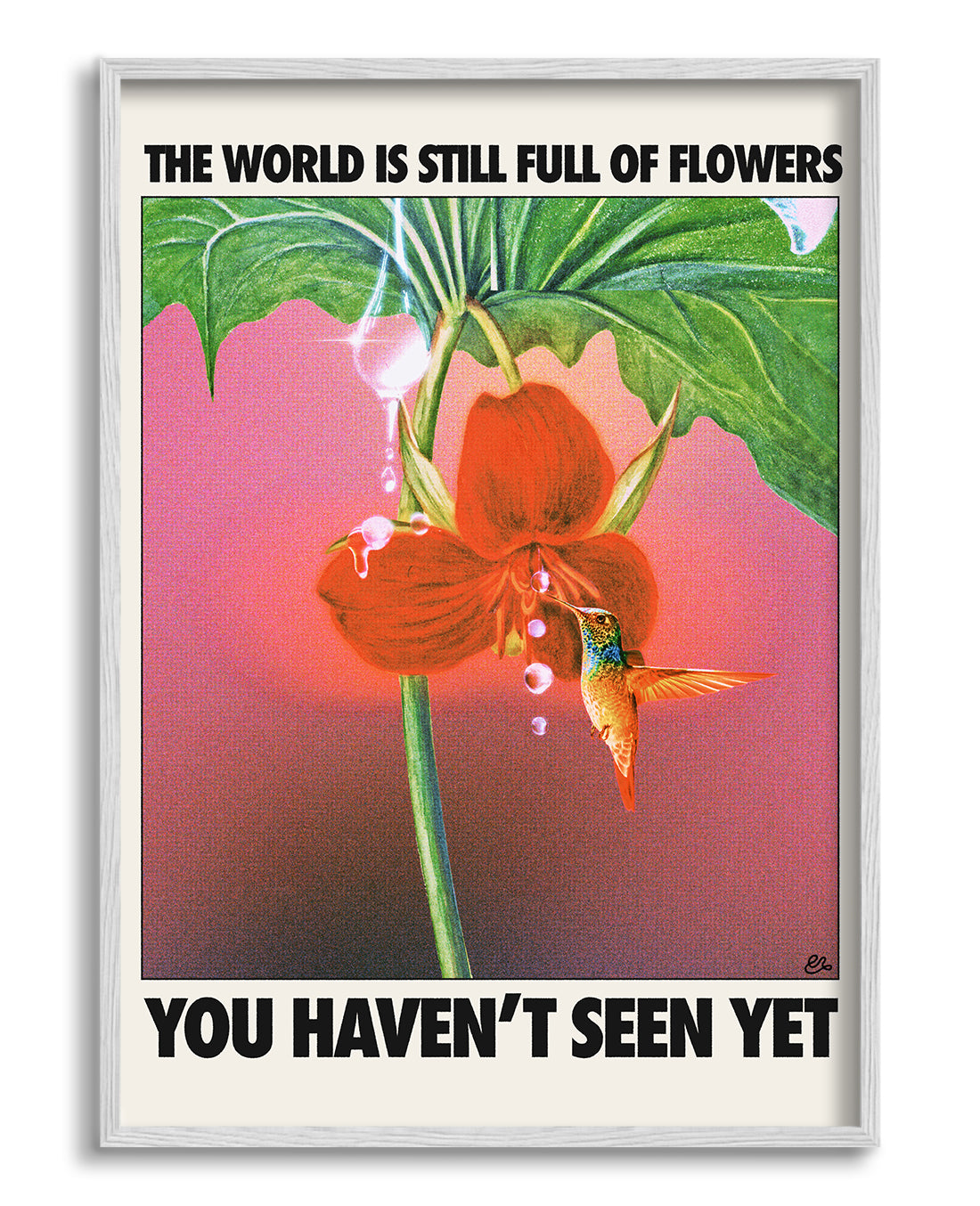 Flowers seen