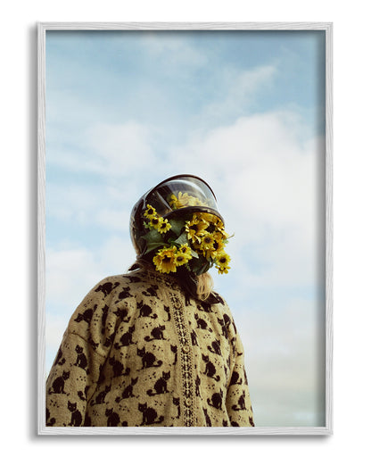 Flowers and cats