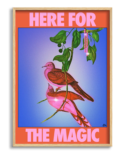 HEREFORTHEMAGIC
