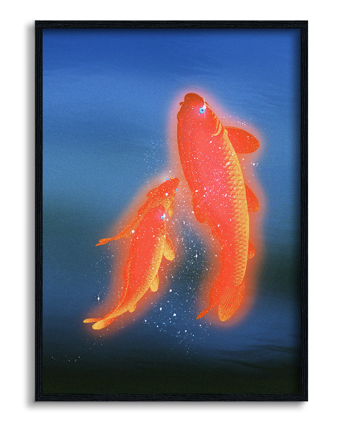 Koi 1