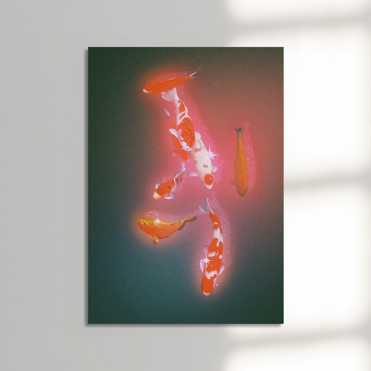 Koi 2