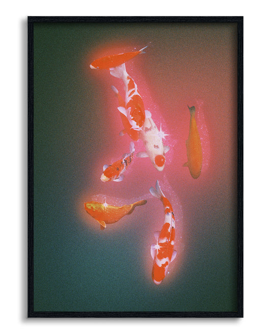 Koi 2