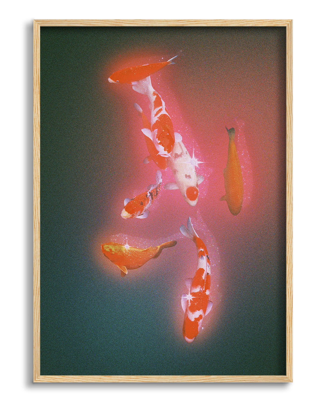 Koi 2