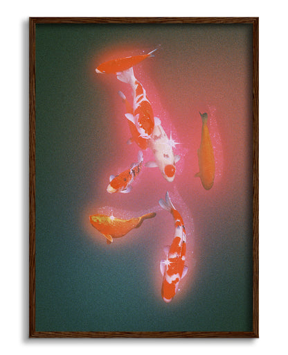 Koi 2