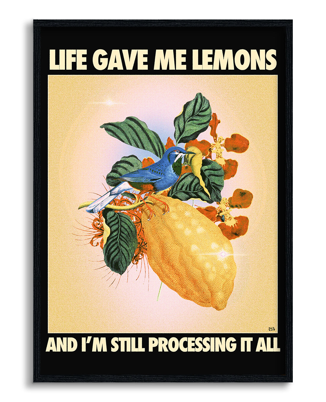 Lemons