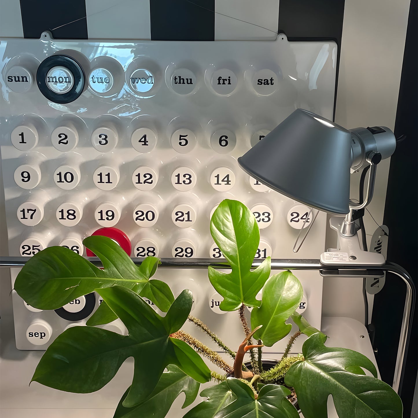 Ring Wall Calendar